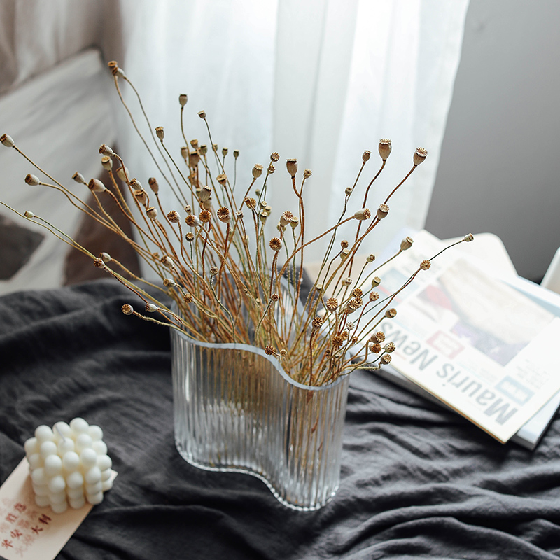 Natural plant air-dried poppies dried flowers and dried fruits diy hand-made forest department retro literature and art small fresh soft outfit collocation