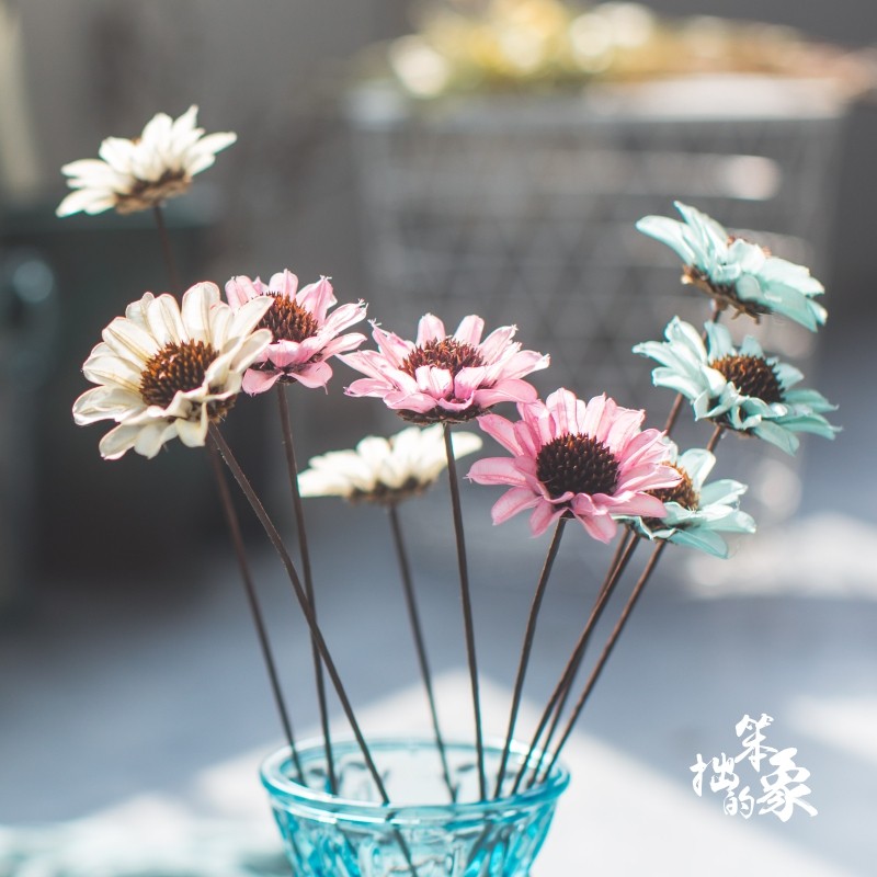 Dutch chrysanthemum dry flower Nordic home soft decoration living room natural dry flower small fresh literary white daisy