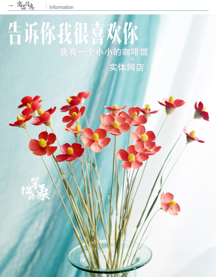 紫罗兰蝴蝶花干花花束真花艺术客厅装饰品拍摄道具材料手工永生花 每周一花 鲜花速递 艺术 礼品鲜花 农资绿植 多商户商城系统 分销多商家多店铺多用户商城系统源码下载