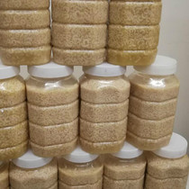  Royal jelly worm Fresh frozen royal jelly larva pulp worm Fresh bee worm Royal jelly follicle wine material