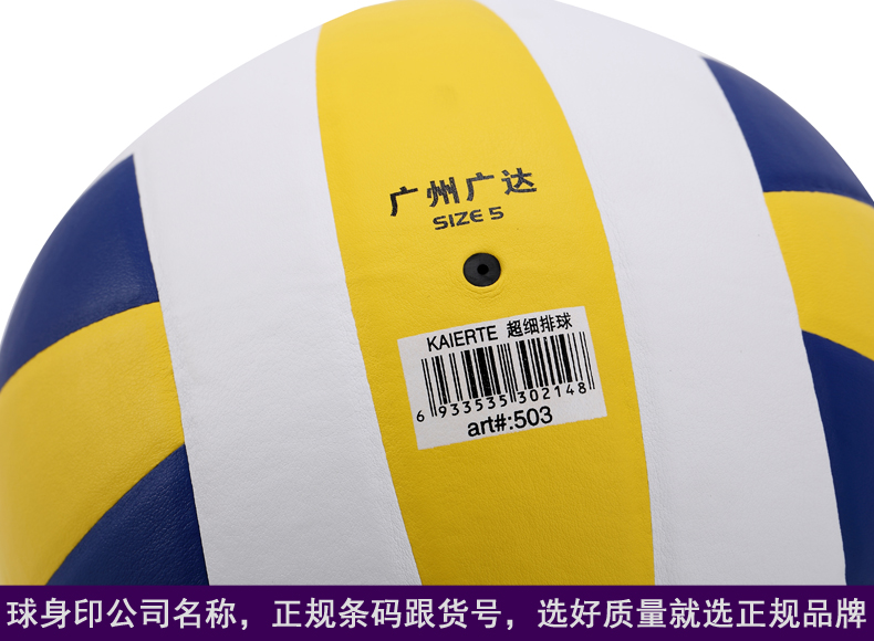 Ballon de volley-ball - Ref 2010505 Image 24