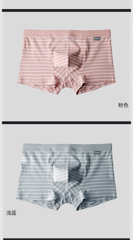 Nam Cực đồ lót nam bốn góc cotton dễ thương bốn mùa cotton boxer quần mùa hè thoáng khí thoải mái quần LM - Nam giới