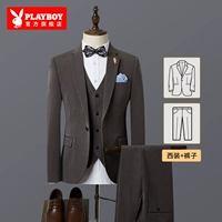 1903 Браун [костюм+брюки]