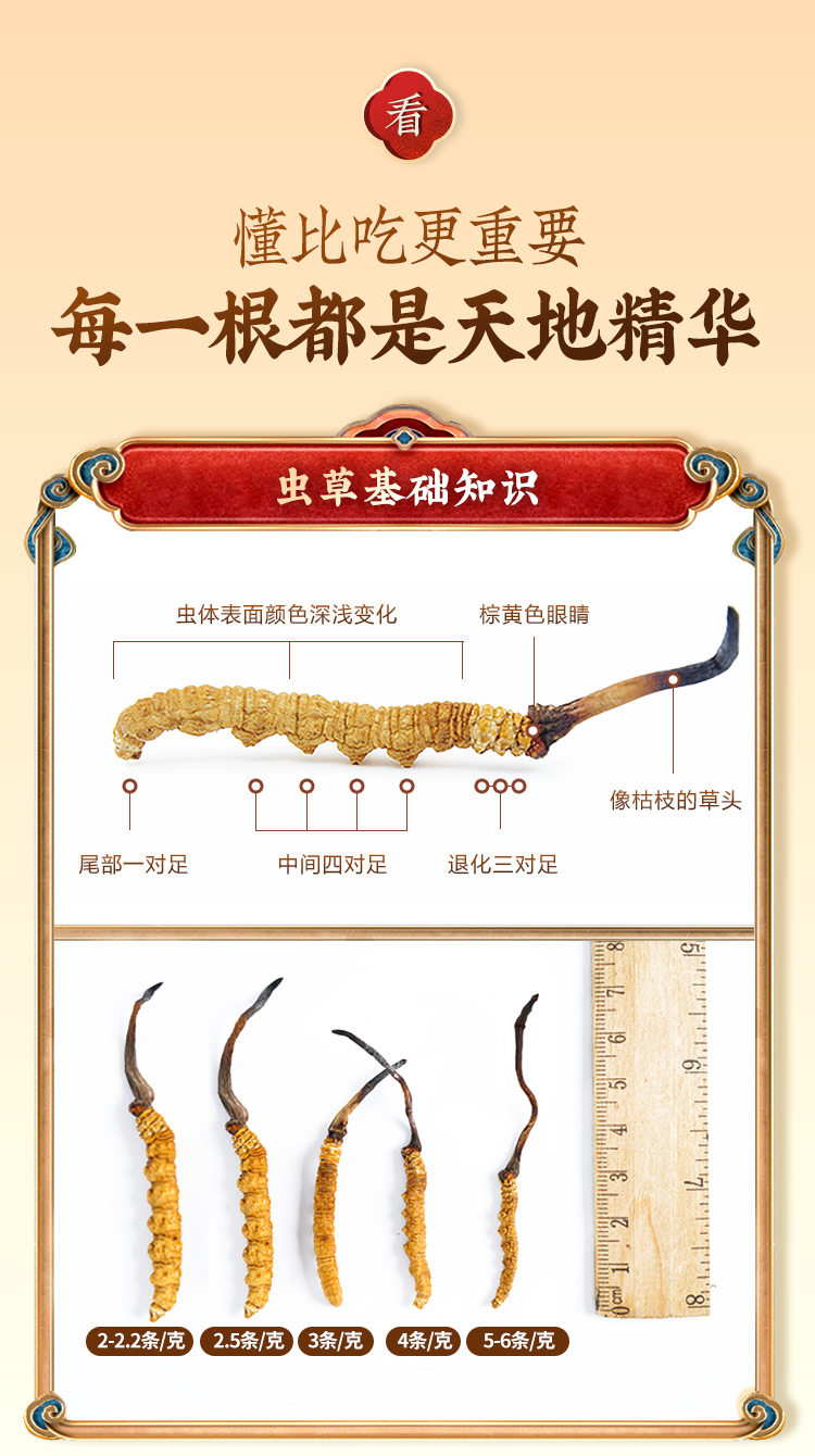Например, cordyceces 2_11.jpg