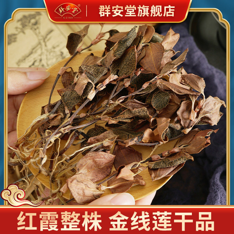 (group Antang) Lin Lower Imitation Afield Gold Thread Lotus Original Ecological Fresh Golden Thread Lotus drying whole plant dry product 50 gr