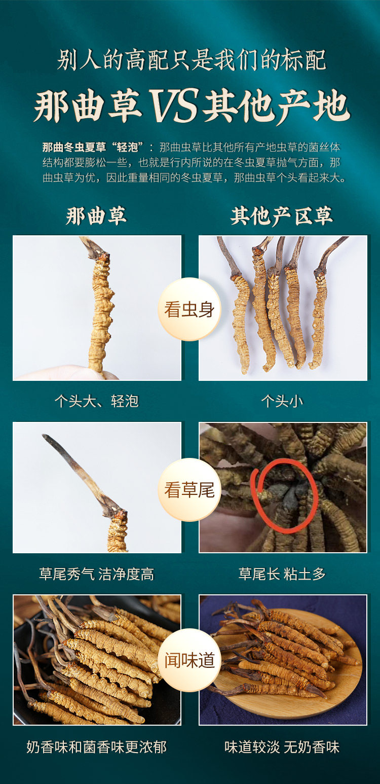 Например, cordyceces 2_06.jpg