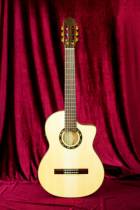 Palladio IP-OO7 EQ-C Deadwood Ultra Thin Electric Case Stage Guitar