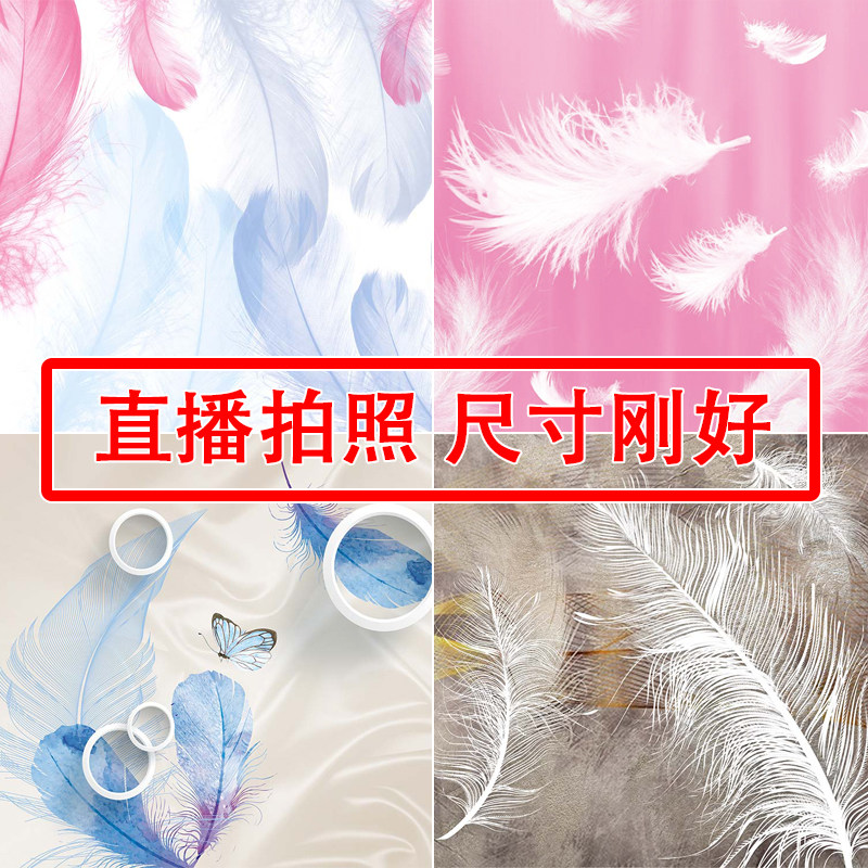 3d Live Background Cloth Feather Decoration Solid Wall Mesh Red Ins Shooting Shadow Wall Fumble Interior Main Podcast Room Photo