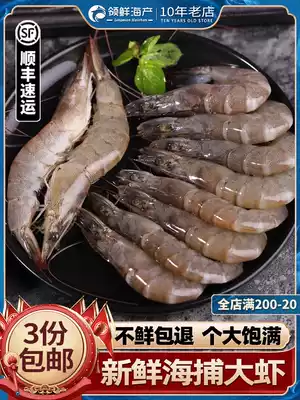 Ecuadorian white shrimp fresh sea catch prawns fresh live frozen oversized prawns base shrimp shrimp seafood aquatic products