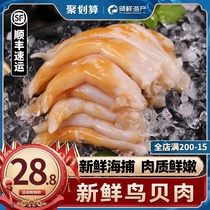 Dalian bird shellfish meat bird shellfish sashimi golden hook bird shellfish about 110g fresh wild fresh frozen seafood aquatic products