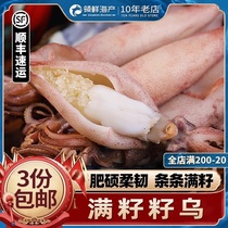 Full seed seed black whole seed pen tube octopus small squid cuttlefish Cuttlefish fresh fresh frozen sea rabbit seafood aquatic products