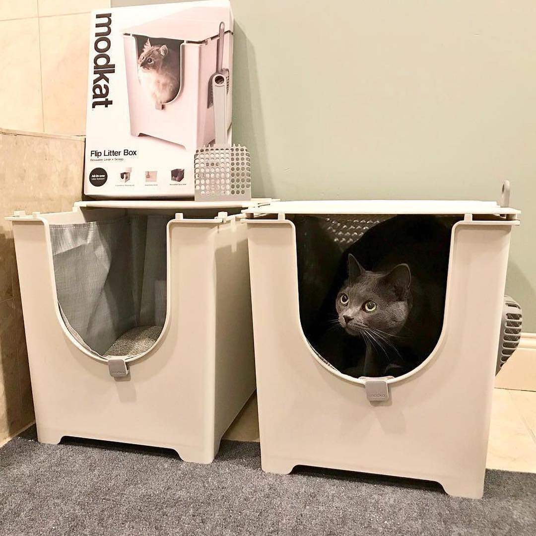 German direct mail MODKO Flip ModKat modern luxury cat litter box cat toilet semi-open