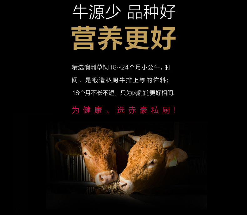 澳洲进口 赤豪 家庭牛排套餐 100g*10片 图9