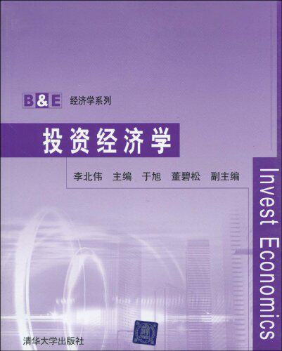 投资经济学（B&E经济学系列）