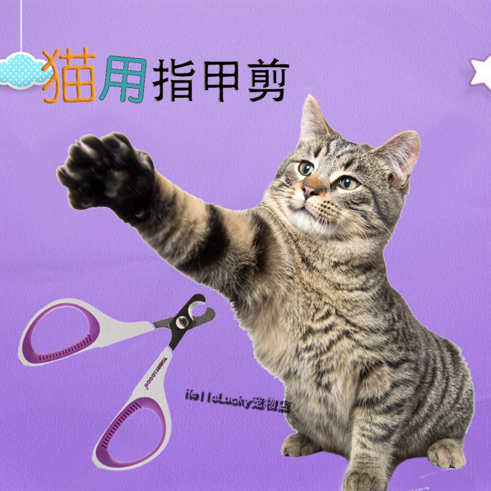 TOMMYCOCO Pet Nails Clamp Dog Cat Bend Nails Slippy Puppy Nails Slippy Nails