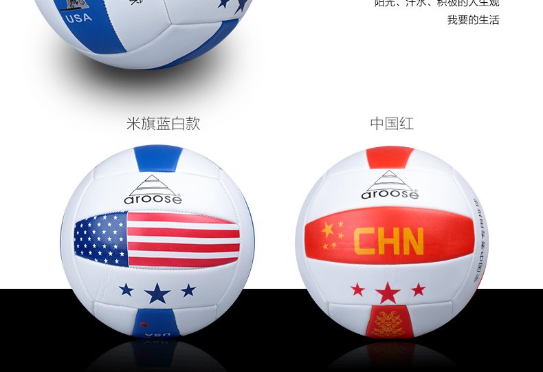 Ballon de volley - Ref 2010323 Image 7