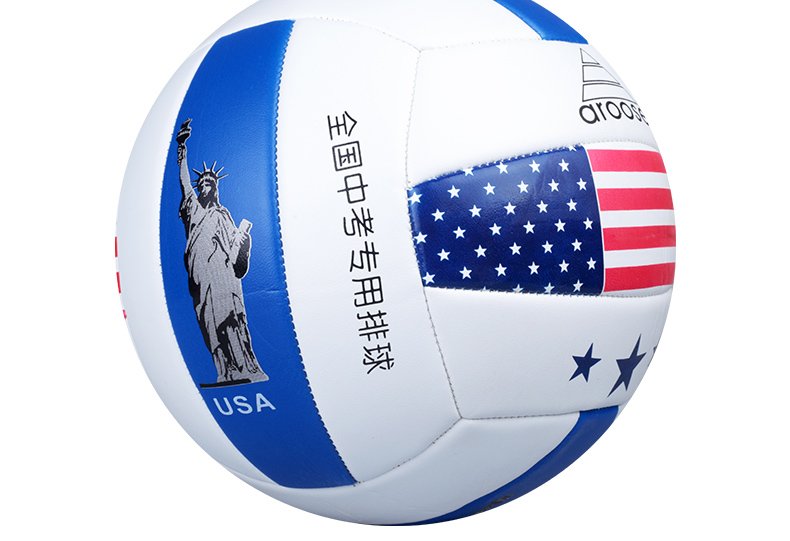 Ballon de volley - Ref 2010323 Image 14