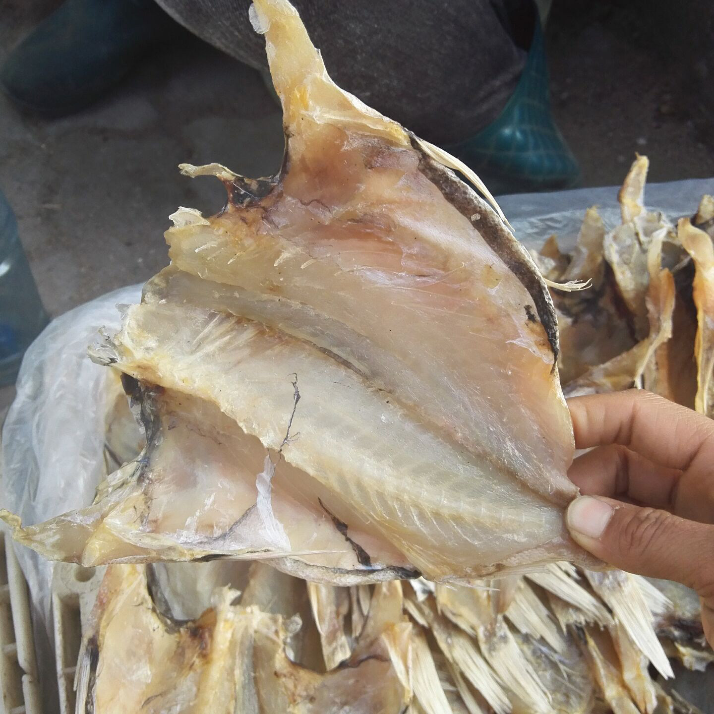 Beihai authentic dried red fish 250g Seafood specialty dried red fish fillets Salted fish dried dried dried dried dried dried dried dried dried 2 parts