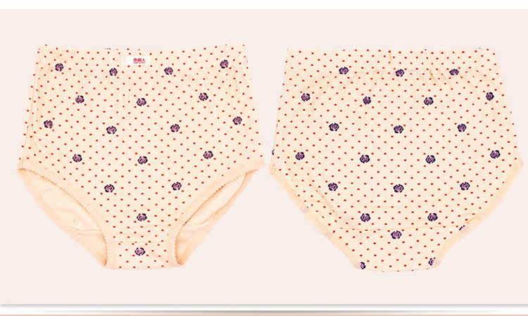 Slip Moyen-âge N8L5X20015 en coton - Ref 666096 Image 20