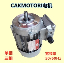 Italy CAK single phase 220 240v motor CAKMOTORI three phase 220 380 440 460v motor