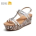 Giày cao gót Daphne / Giày cao gót Daphne sandal nữ đi học Sandal