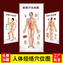 Human Body twelve Meridians Acupoints Map Large Wall Chart Home Health Preservation Hall Traditional Chinese Medicine Acupuncture Massage Massage Whole Body Standard Acupoint Figure