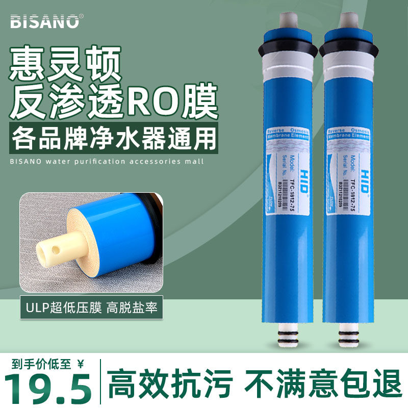 Household Filter 50G 75G 100G Gallon Reverse Osmosis 200G 300G 400G Water Purifier Wellington RO Membrane