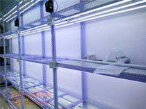 Tissue culture room plant tissue culture rack light culture frame tissue culture frame full spectrum LED independent switch culture frame