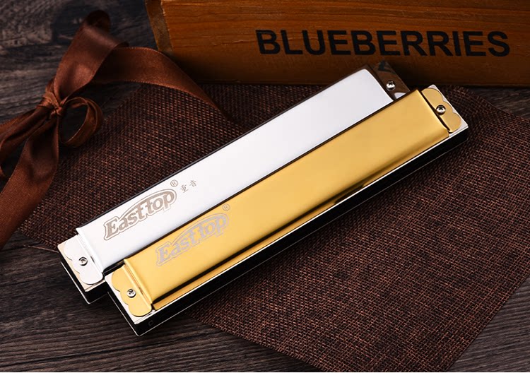 German imported tone reed Dongfang Ding T2403 polyphonic harmonica professional performance level 24-hole C-tune beginner adult