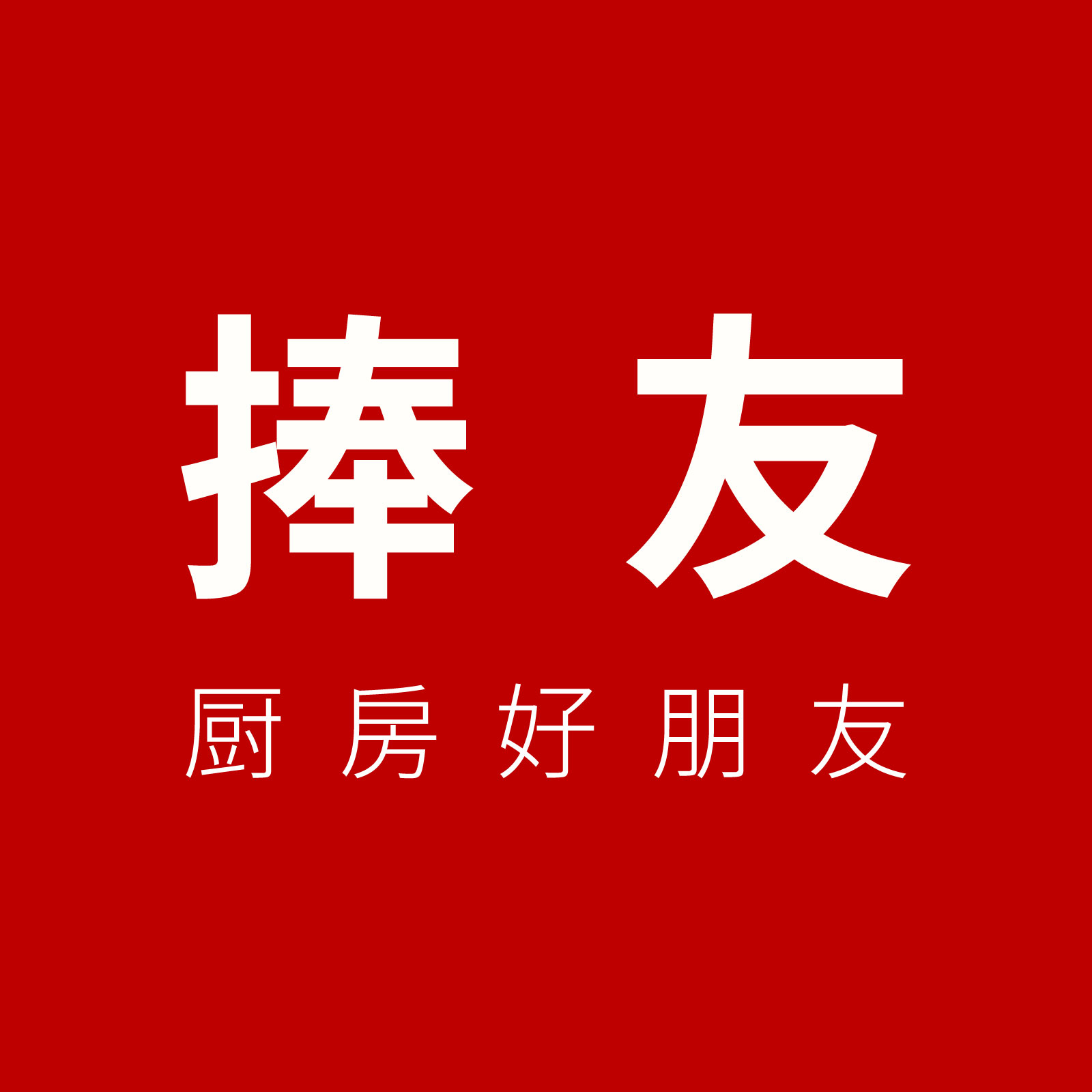 捧友智能电器的LOGO