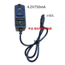 Bull A6 A6 A3 A3 a7 a7 A9 A9 A15 A15 A15 lithium electric head lamp 100W 200W Double-hole charger