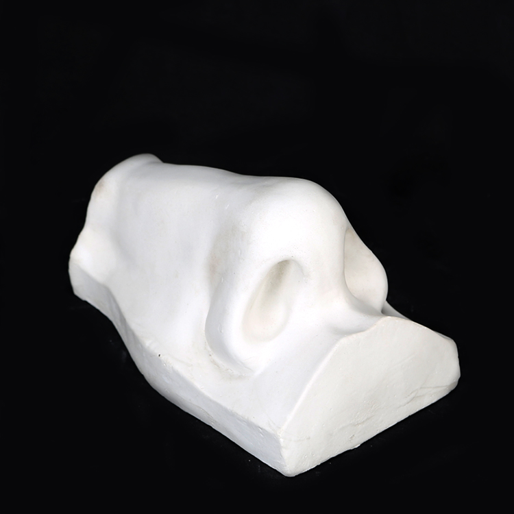 статуя нос. нос давида гипс референс. нос давида скульптура. гипсовая фигура нос давида. обрубовка головы давида.