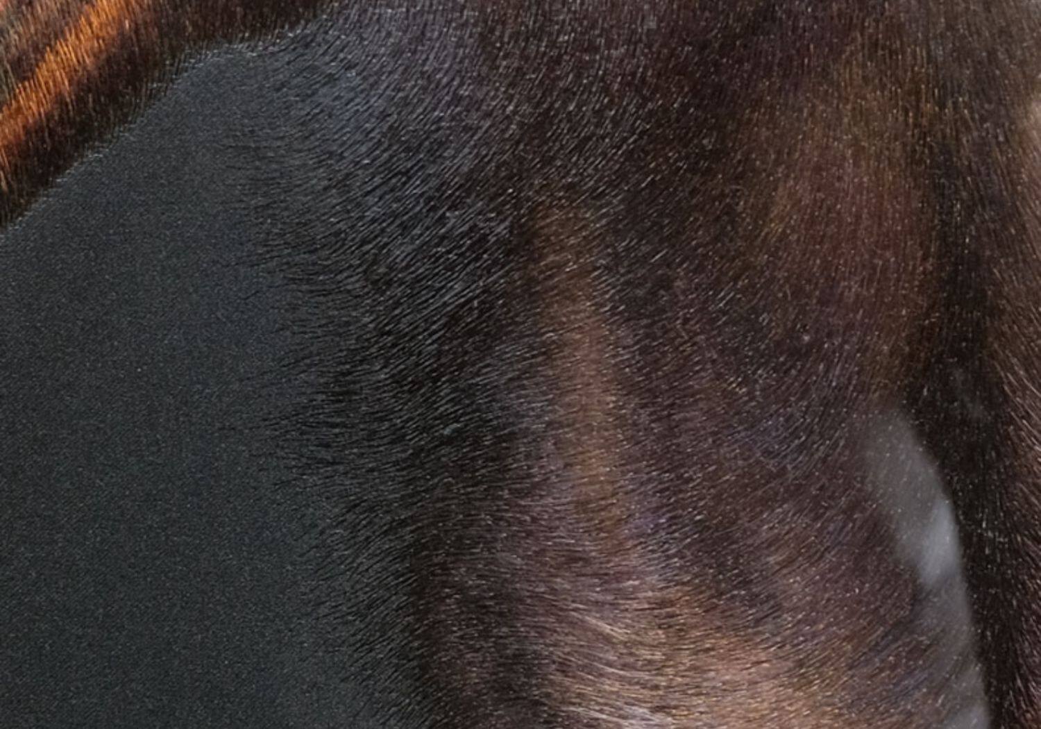 Вышивка Сучжоу 艺绫手工刺绣1丝2丝苏绣现代艺术书房装饰画马到成功骏马动物挂画