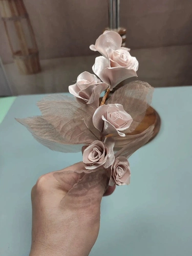 Мейтианцы создают контрастную корику