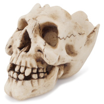 Ashtray skull resin ornaments altar personalized Halloween decoration candlestick skull