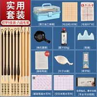 Практический 21 -цельный набор [обновление приемной коробки]