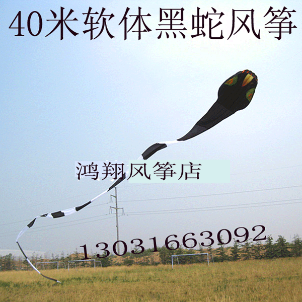 Lihua software 40 meters 60 meters soft kite soft snake kite flying effect is good special offer