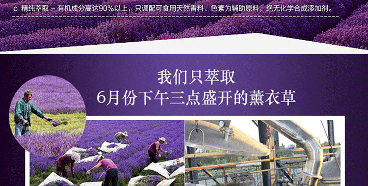 Tân Cương Jin Yifang Tinh dầu hoa oải hương đơn phương 10ml Hương liệu thực vật tự nhiên Chăm sóc da Hương liệu tinh dầu nho