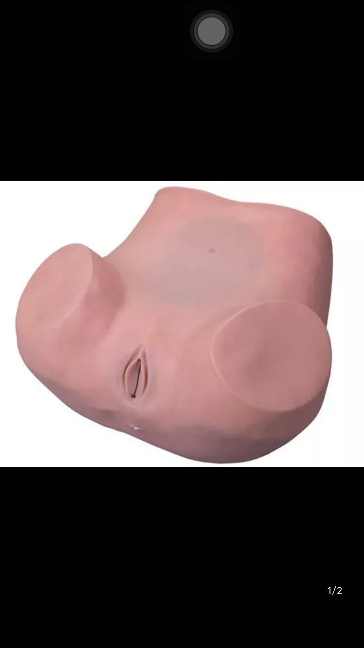 妇科训练模型，医学教学模型