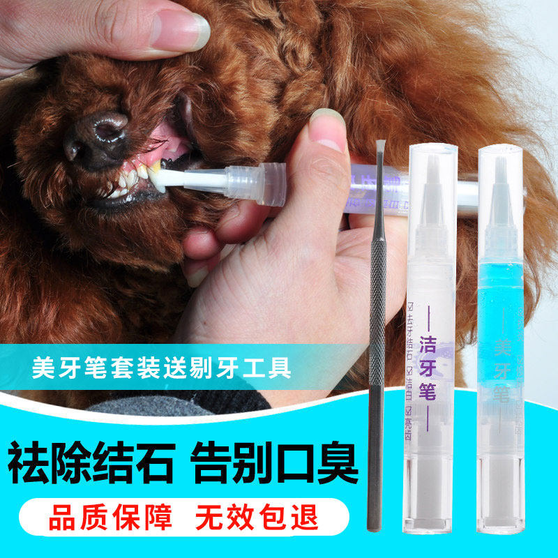 Dog calculus artifact pet beauty tooth cleaning pen to remove bad breath teeth cat oral cleaning gel