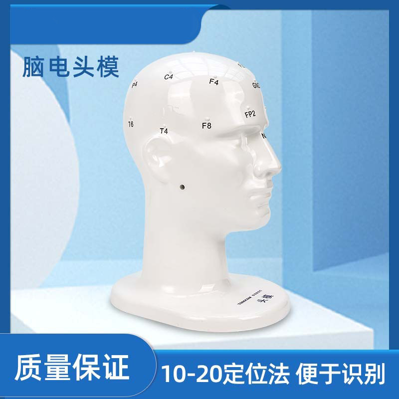 脑电图EEG20导头模二十导10-20定位系统脑电定位电极头模大脑头模
