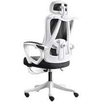 Guiqi computer chair home office chair home backrest comfortable seat desk chair student learning long-sitting ergonomics