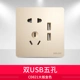 Двойной USB с пятью отверстиями (большая пластина, золото 821)