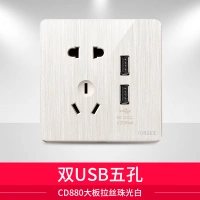 Двойной порт USB с пятью отверстиями (большая плата 880, матовый перламутровый белый цвет)