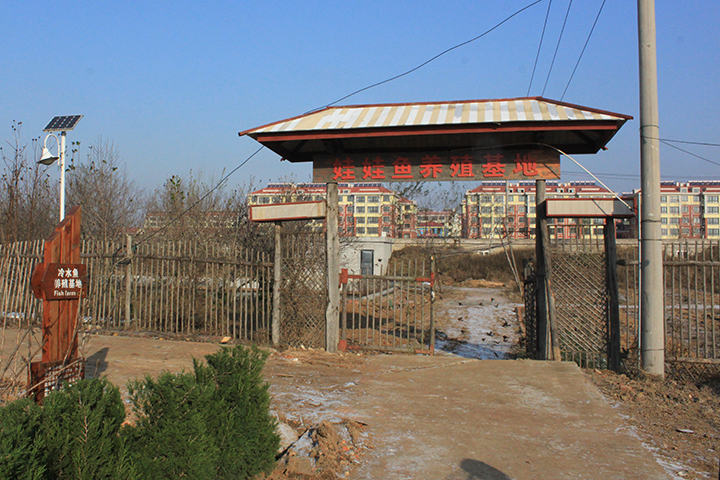 生态园鱼池 (3).jpg