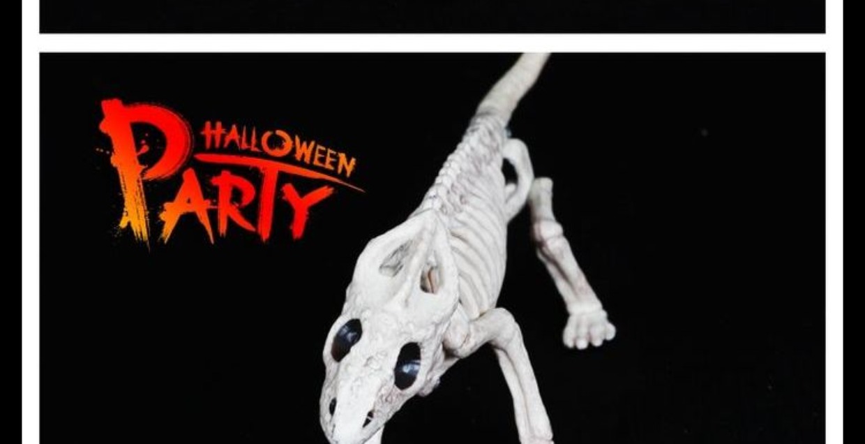 Trang trí Halloween Ngôi nhà ma ám Mô phỏng Thằn lằn Mô hình Động vật Xương Đầu Kệ Khủng bố Đạo cụ - Sản phẩm Đảng / Magic / Hiệu suất 	phụ kiện cosplay halloween	