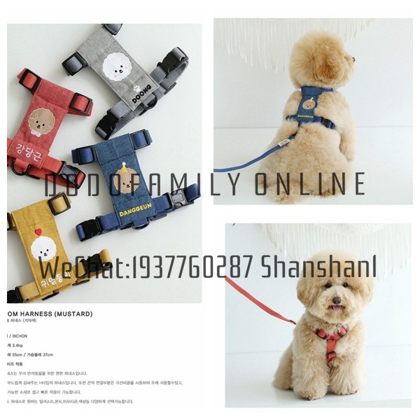 Customized Korean CARMINE PROJECT I-shaped chest and back avatar name embroidery dog ​​bichon teddy leash