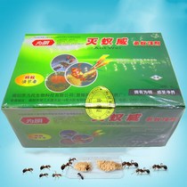 Red fire ant ant ant powder for Ming powerful Ant killing ant and killing ant bait Red Ant yellow ant Black Ant 30 bags