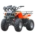 2017 kích thước mới xe mô tô địa hình ATV 125cc chạy xe địa hình bốn bánh