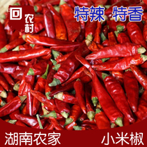 Back to rural dry chilli 250g Hunan Tefic chili pepper Choo pepper farmhouse homemade small chili dry goods